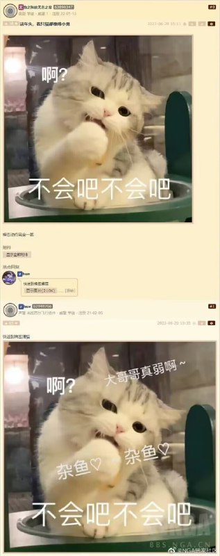 by 羊撅撅from 🔮 奇闻异录 与 沙雕时刻 meme collection