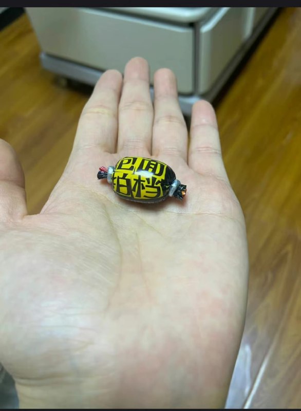from 平壤卫视 👓🕯 R.I.P