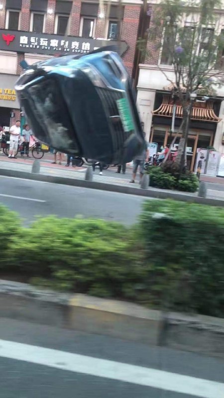 摄影大赛一等奖from 如何与沙雕相处