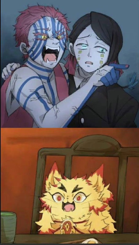 from 平壤卫视