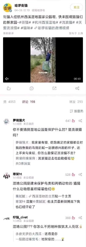 via LDLD 果冻