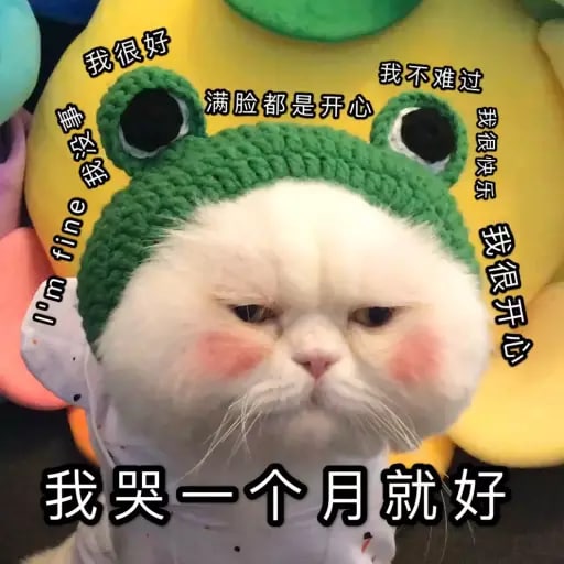 本人30，刚被20出头的人叫大姐，难受香菇