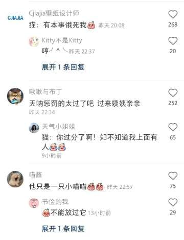 涉事猫咪被当场逮捕，还戴上了一副小手铐涉事猫咪被当场逮捕，还戴上了一副小手铐