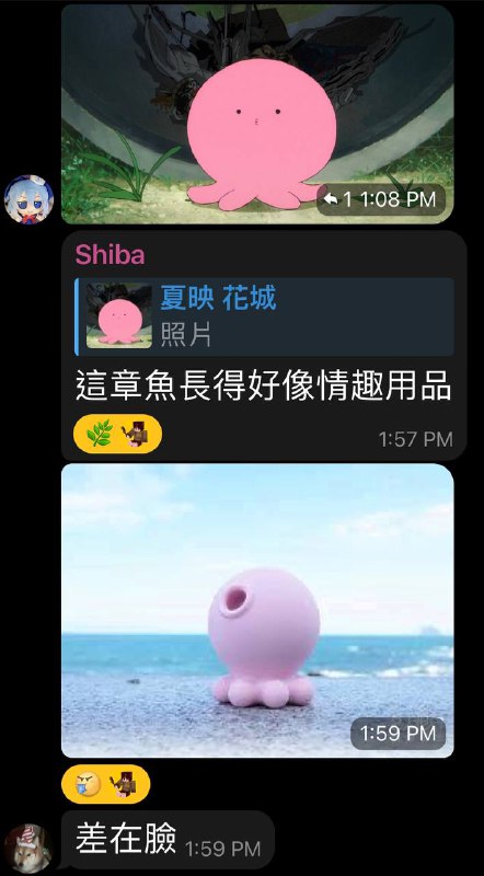 via 派对塔可404