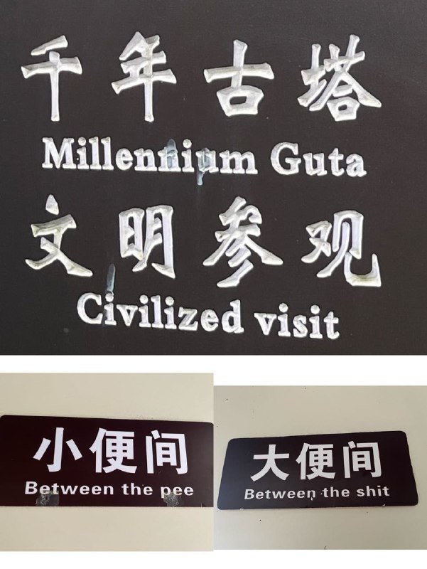🤔from 平壤卫视