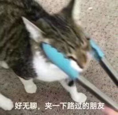 via 󠀋