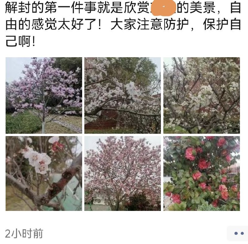 via Xiao_Jinvia Xiao_Jin