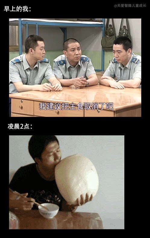 失败减肥800次