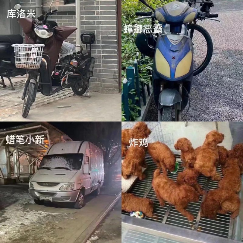 我的精神状态：via 鸽咕鸠 | 自定义朋友数：1我的精神状态：via 鸽咕鸠 | 自定义朋友数：1