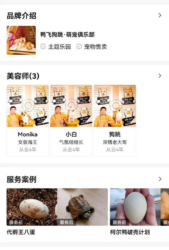 代孵王八蛋