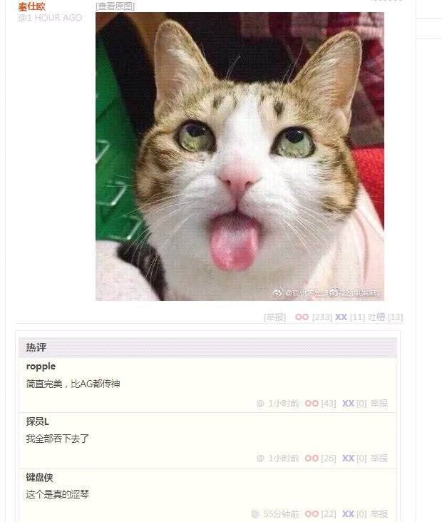 好 涩 哦