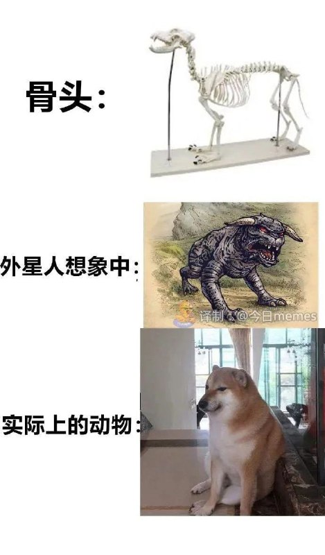 from 平壤卫视 via ㅤ