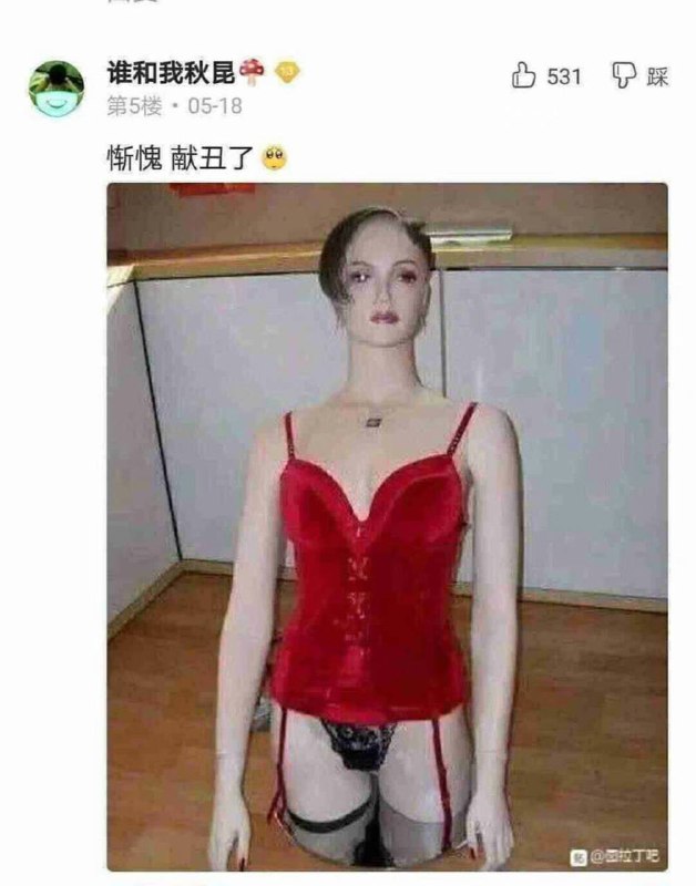 from 平壤卫视from 平壤卫视