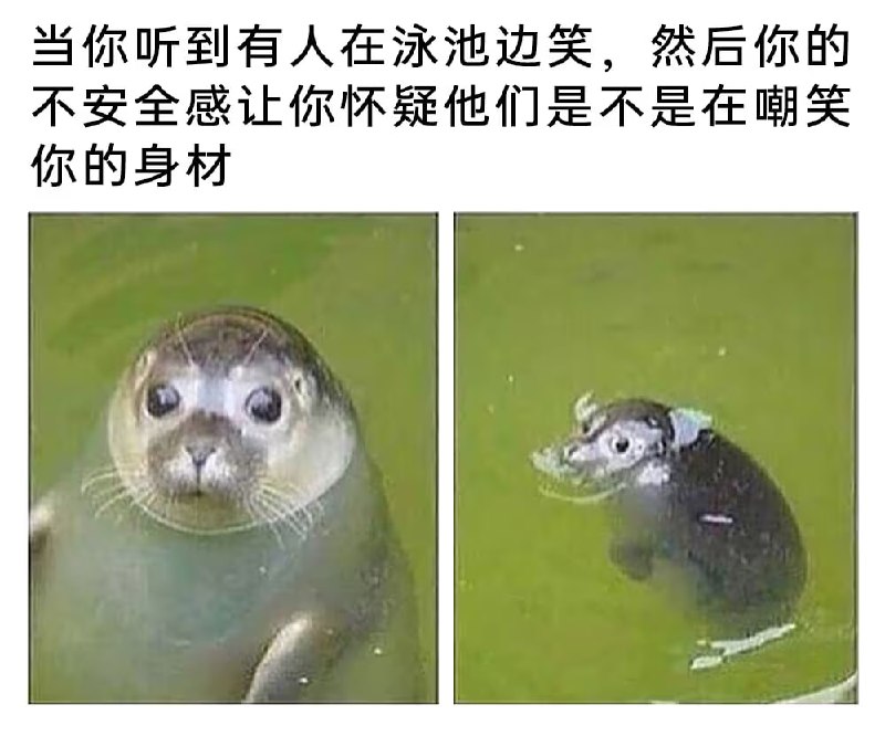via 6号沙雕网友