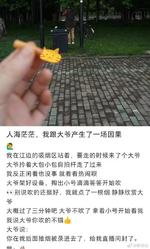 from 如何与沙雕相处 via 希区舒克