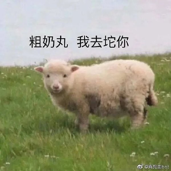 水友翻译一下