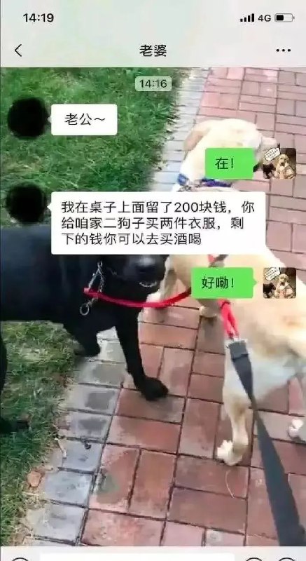 via 月 下黑猫via 月 下黑猫