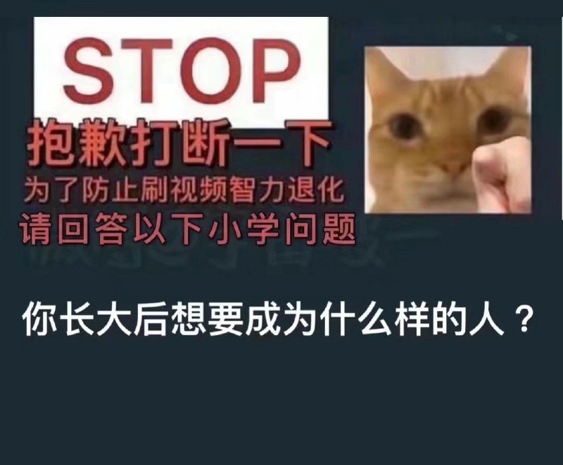 from 心惊报