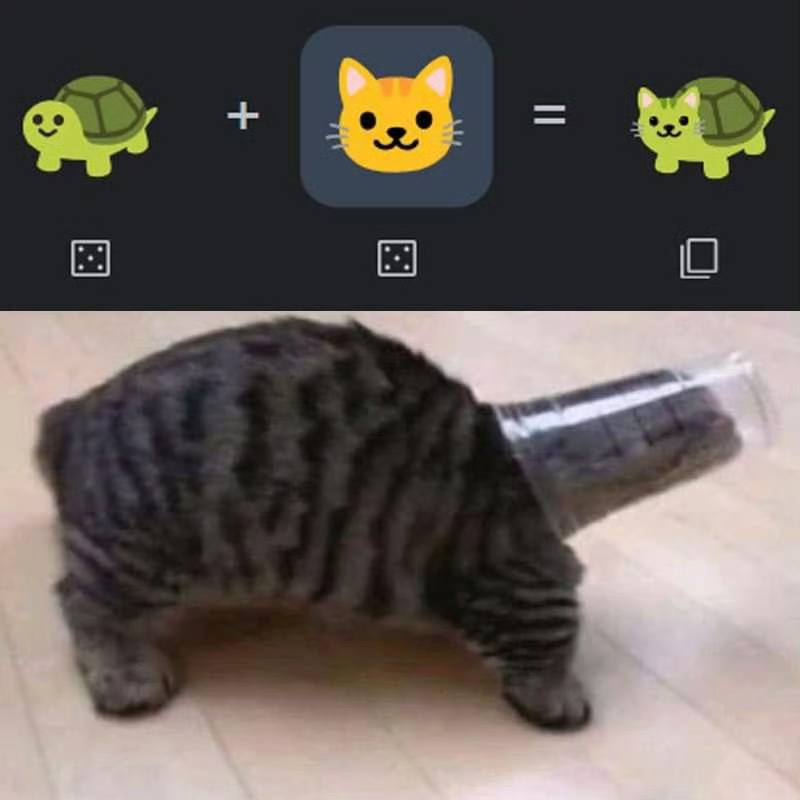 #猫猫from 平壤卫视