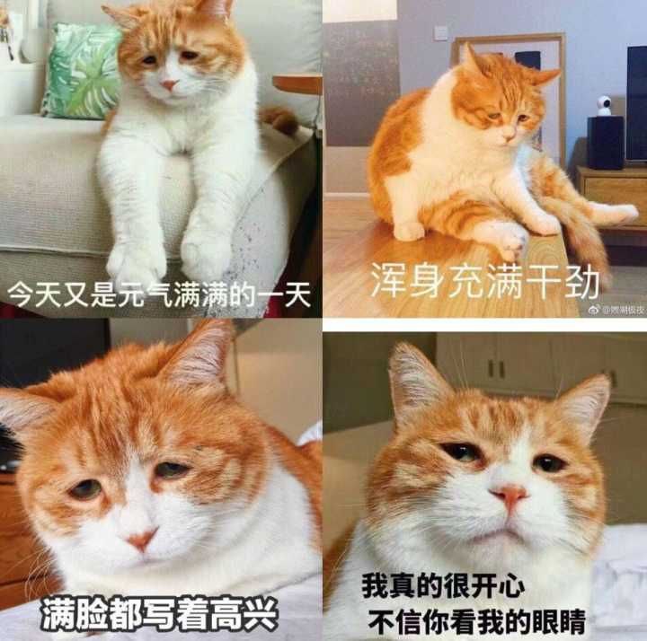 via my nbkls