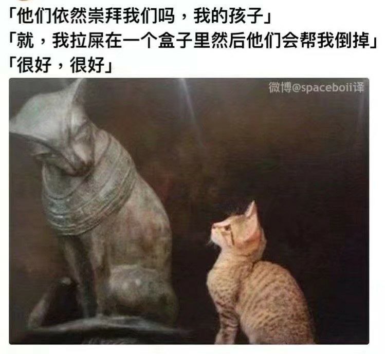 #上墙
