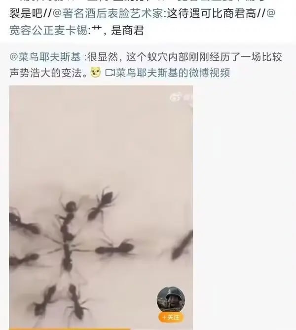 via 7号沙雕网友