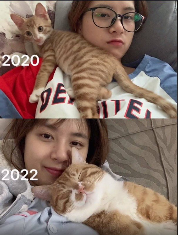 #猫猫from 平壤卫视