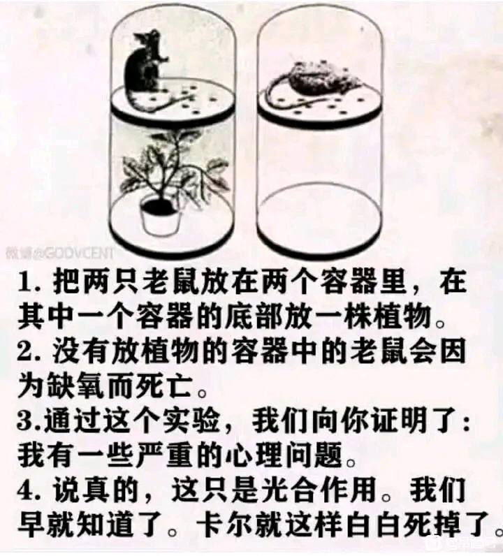 via 张某 犯罪嫌疑人
