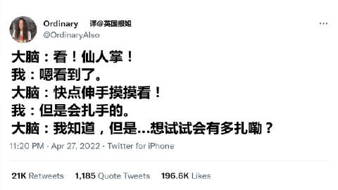 仙人掌:这回真的是他先动的手