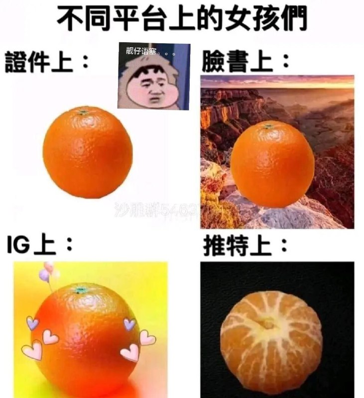 via 张某 犯罪嫌疑人