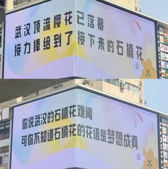 via 7号沙雕网友