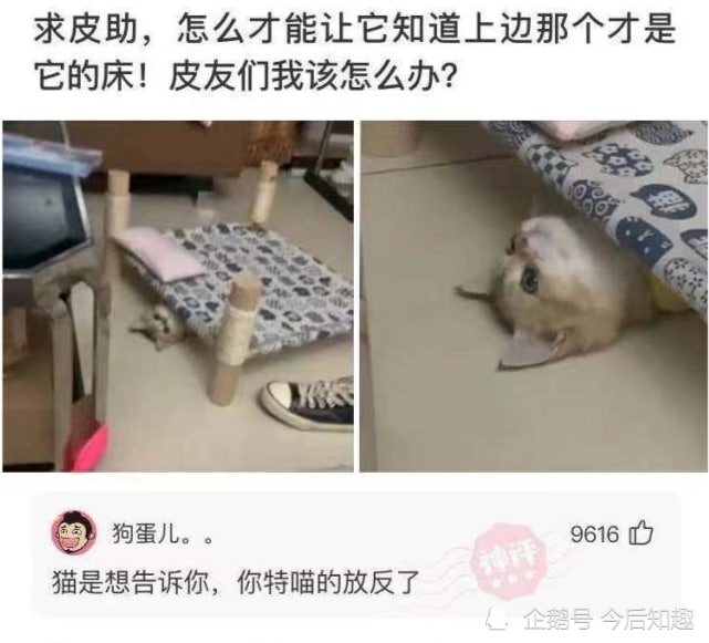 from 心惊报