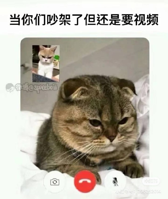 via 维他奶