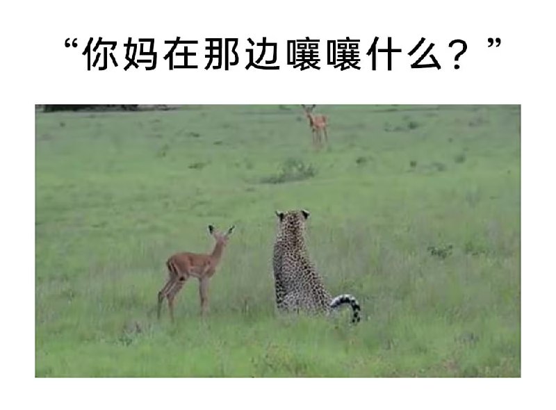 via 7号沙雕网友