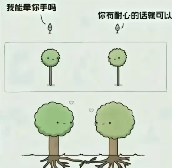 via 6号沙雕网友审核注：看成两个肛塞了...