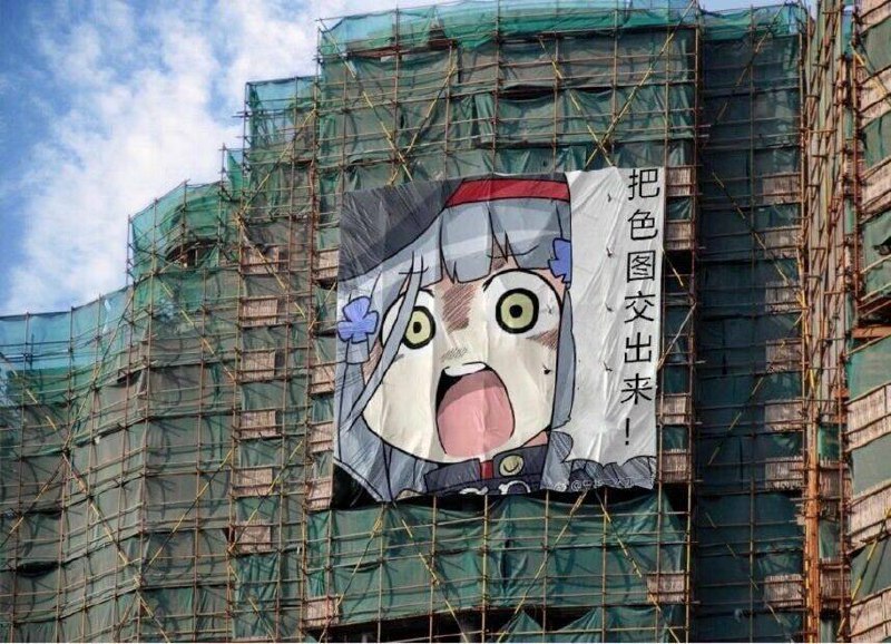 from 平壤卫视