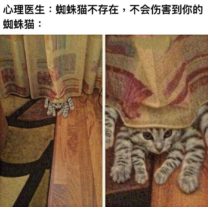 from キルア 浮云