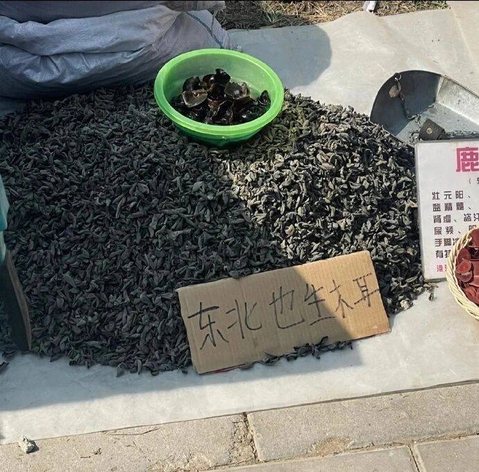 from 平壤卫视