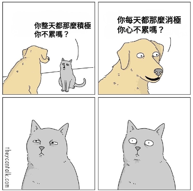 via 宋某人 | 梦想是当家庭主夫