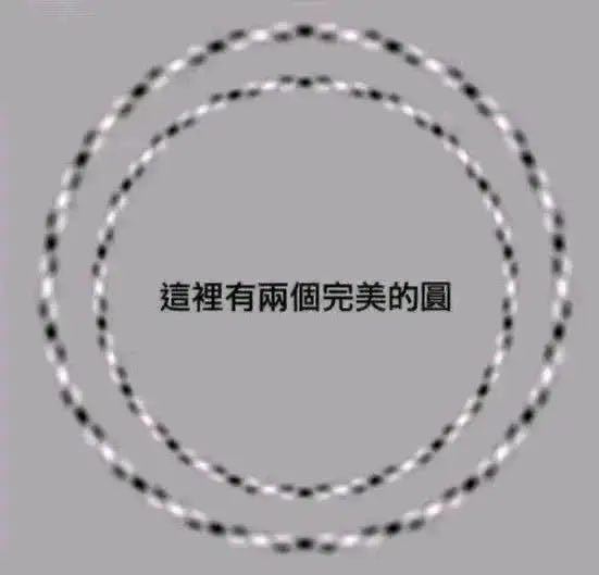 from 如何与沙雕相处