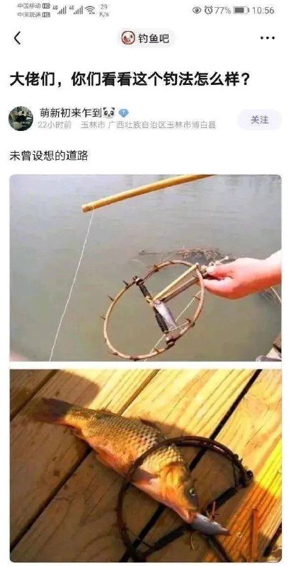 钓鱼佬福音via siano