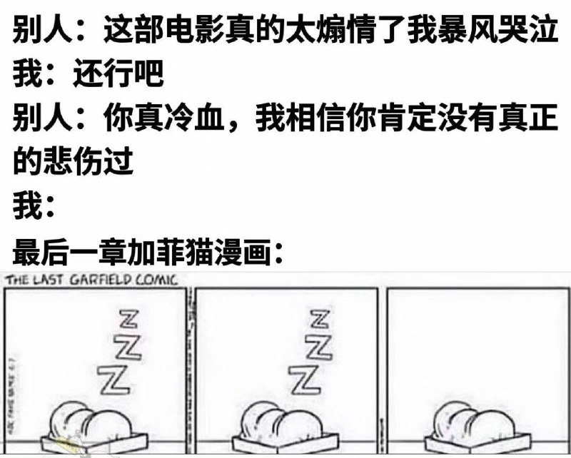 via 张某 犯罪嫌疑人