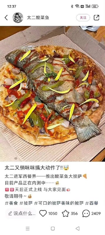 ？from 平壤卫视