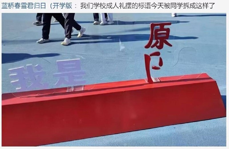 🤬from 平壤卫视