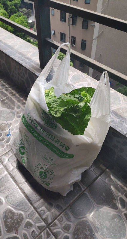 via 张某 犯罪嫌疑人via 张某 犯罪嫌疑人