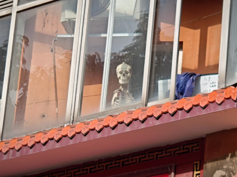 骷髅：泥嚎！via 悦骷髅：泥嚎！via 悦