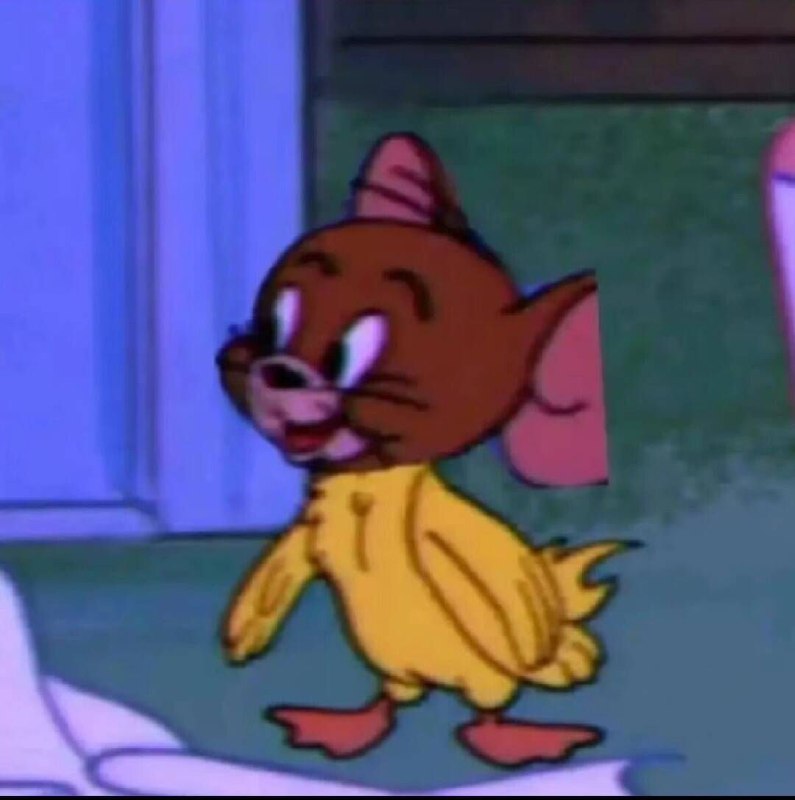 万能的猫鼠队