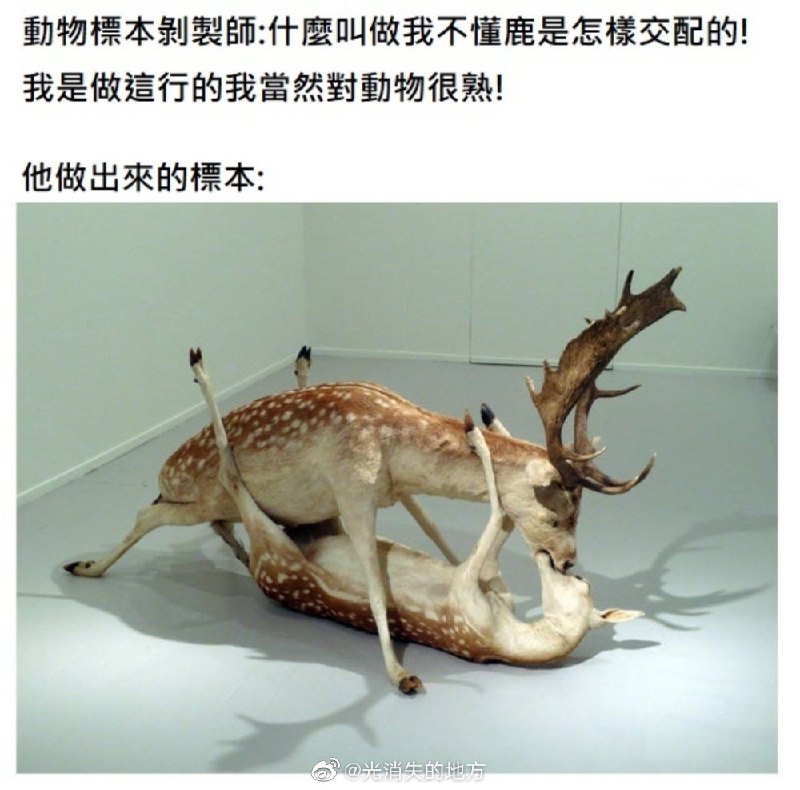 from 煎蛋无聊图