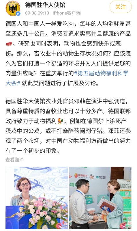 下蛋公鸡，公鸡中的战斗鸡from ㅤ