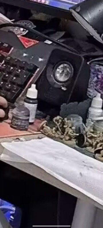 你是说，每天在群里和你嘻嘻哈哈开黄色玩笑的群友，其实是穿着针织衫黑丝闷在家里气味动人而且会给你打印战壕十字军棋子帮你涂战锤的硬核宅女古关忧？via my nbkls你是说，每天在群里和你嘻嘻哈哈开黄色玩笑的群友，其实是穿着针织衫黑丝闷在家里气味动人而且会给你打印战壕十字军棋子帮你涂战锤的硬核宅女古关忧？via my nbkls